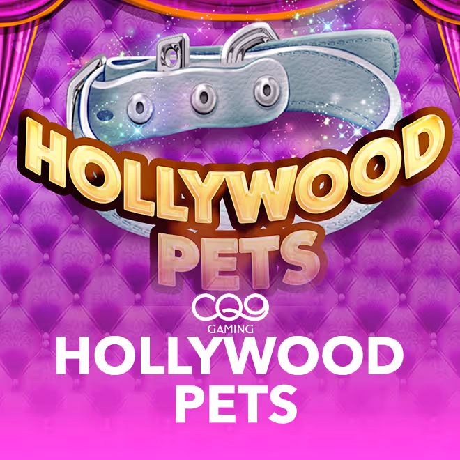 hollywood-pets