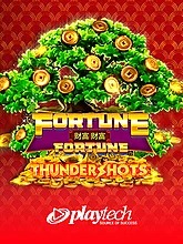 fortune-fortune-thundershots